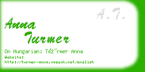 anna turmer business card